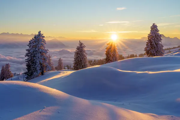 Winterabend auf der Rigi – Sonnenuntergang über dem Nebelmeer